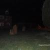 © Copyright A.P.I ©